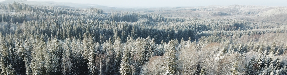Drönarbild över halländsk skog vintertid